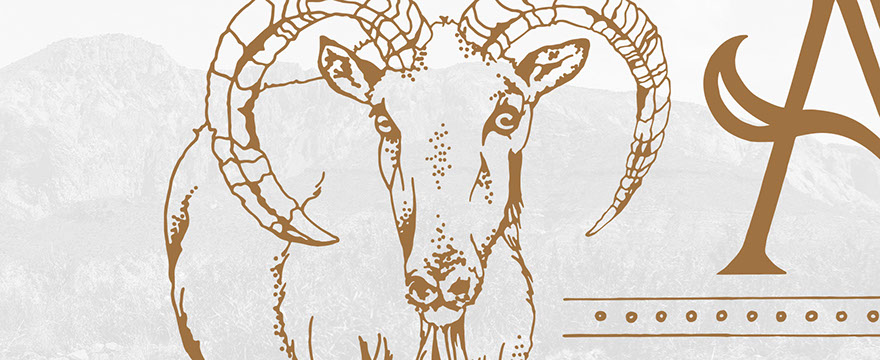 watercolor and ink illustration for a book