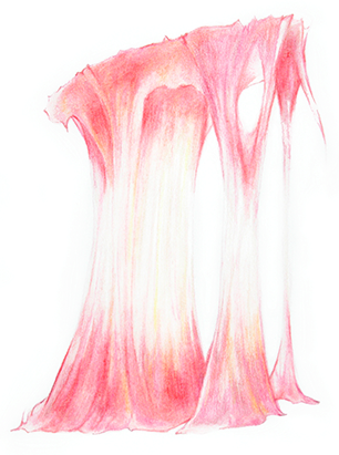 gum colored pencil drawing