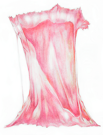 gum colored pencil drawing