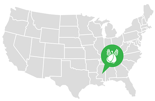 Flying Fig Creative location, Colorado Springs, Colorado, graphic design